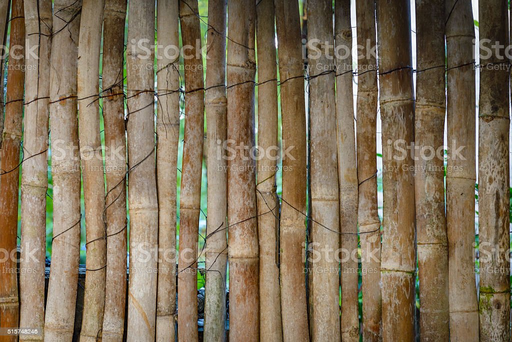 Detail Gambar Bambu Di Dinding Nomer 45