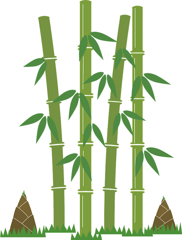 Detail Gambar Bambu Kartun Nomer 2