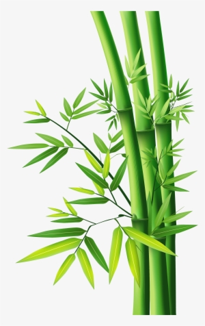 Detail Gambar Bambu Kartun Nomer 9