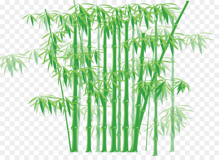 Detail Gambar Bambu Kartun Nomer 15