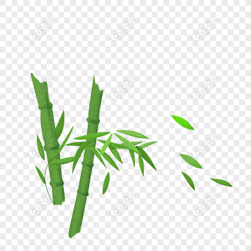 Detail Gambar Bambu Kartun Nomer 36