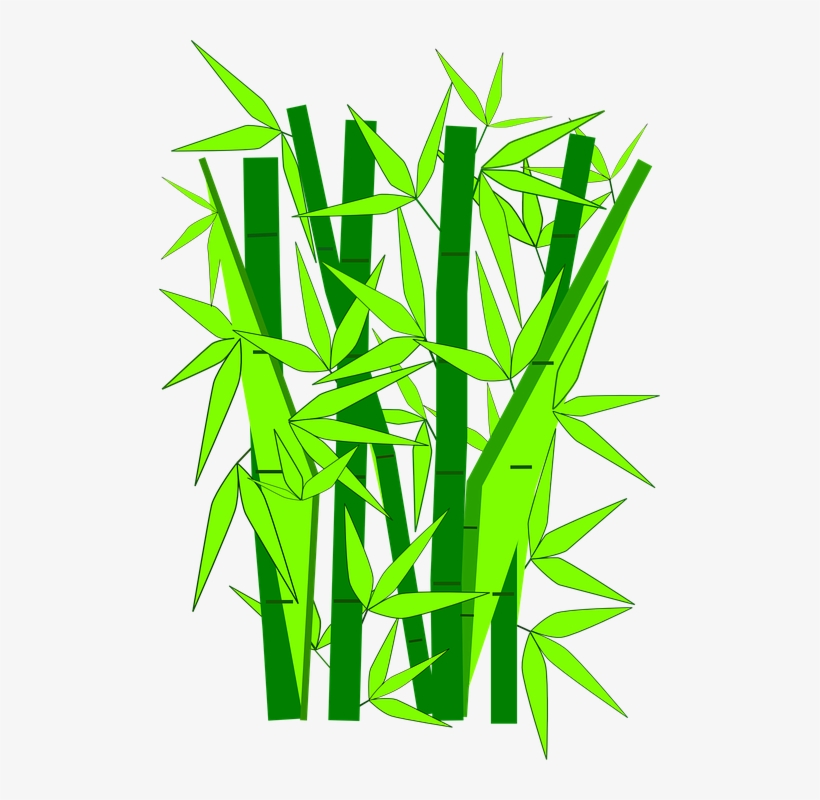 Detail Gambar Bambu Kartun Nomer 5