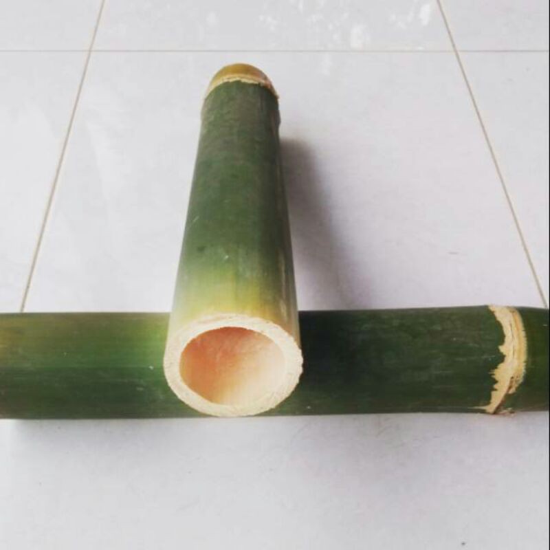 Detail Gambar Bambu Panjang Nomer 48