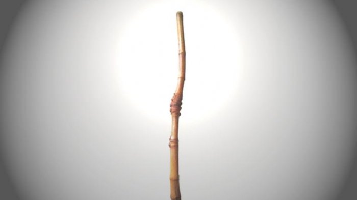 Detail Gambar Bambu Petuk Wali Nomer 45