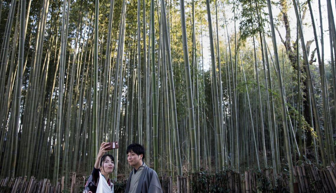 Detail Gambar Bambu Wisata Nomer 51