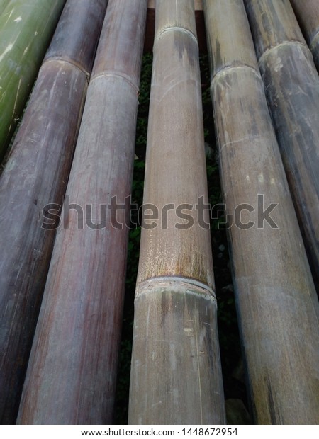 Detail Gambar Bambu Wulung Nomer 14