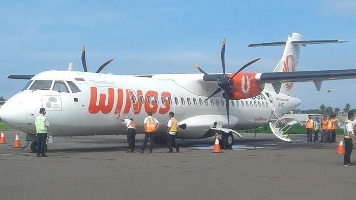 Detail Gambar Bandar Udara Internasional Gambar Pesawat Wingss Nomer 22