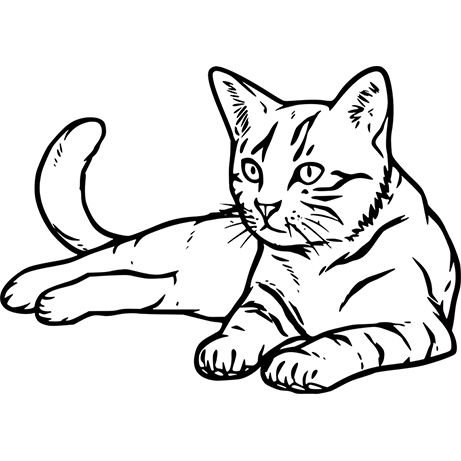 Detail Katzen Vorlagen Zum Ausdrucken Nomer 3