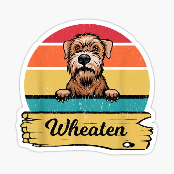 Detail Miniature Wheaten Terrier Nomer 12