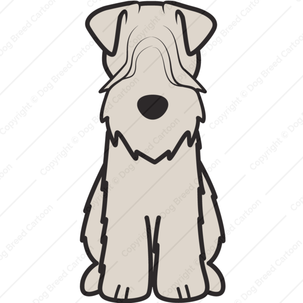 Detail Miniature Wheaten Terrier Nomer 2