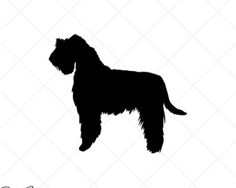 Detail Miniature Wheaten Terrier Nomer 18