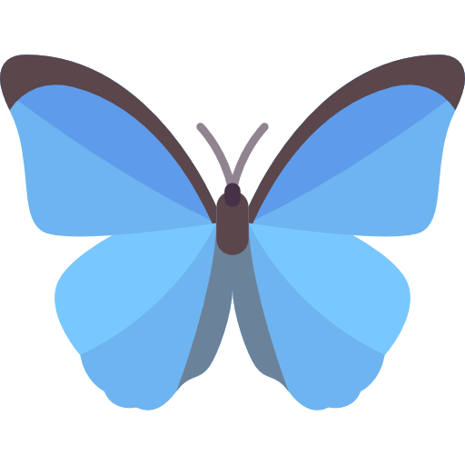 Schmetterling Icon - KibrisPDR