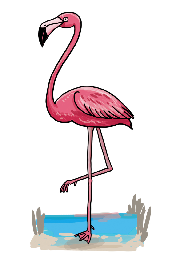 Detail Wie Malt Man Ein Flamingo Nomer 3