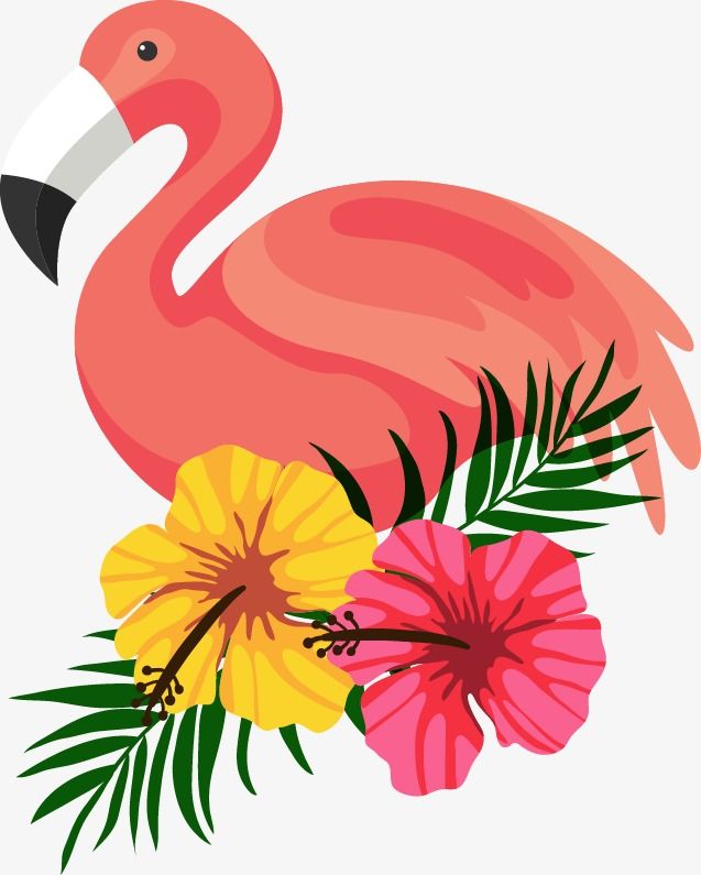 Detail Wie Malt Man Ein Flamingo Nomer 9