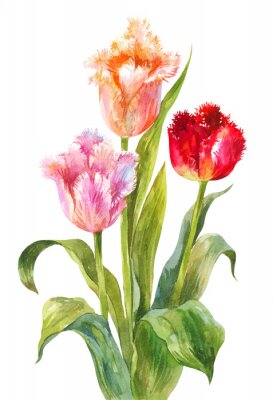 Detail Backstein Tulpe Nomer 12