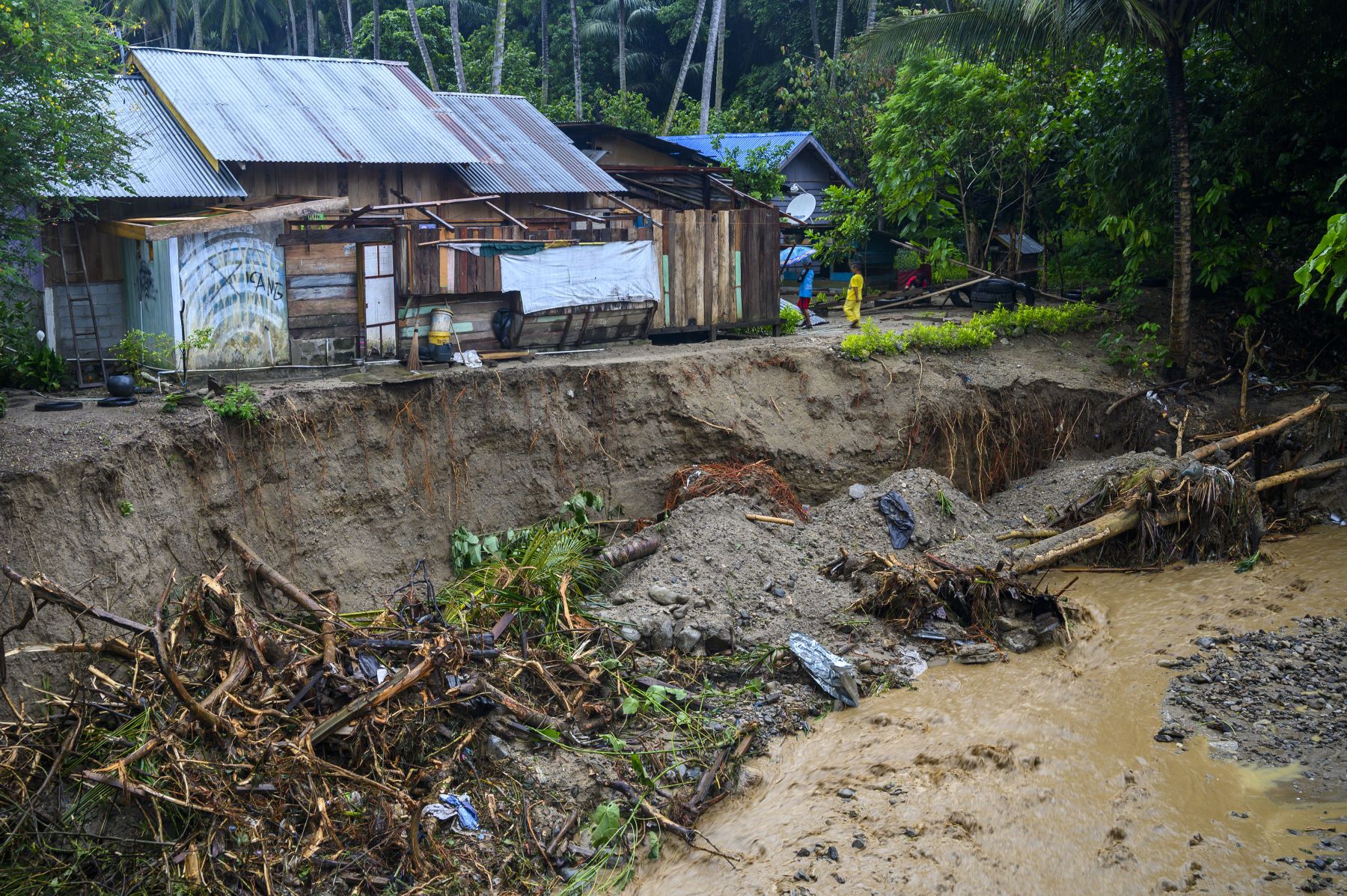 Detail Gambar Banjir Dan Tanah Longsor Nomer 3