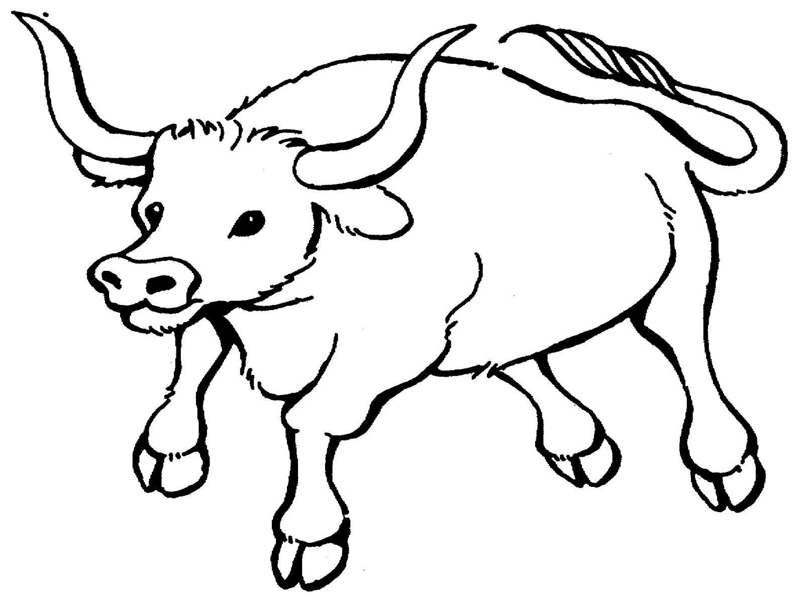 Detail Gambar Banteng Gambar Banteng Hitam Putih Nomer 13