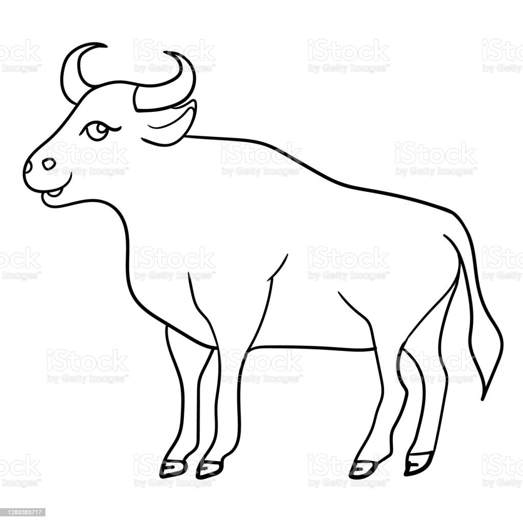 Detail Gambar Banteng Gambar Banteng Hitam Putih Nomer 3