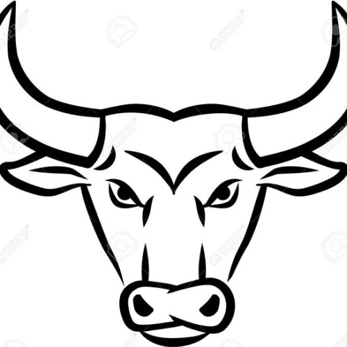 Detail Gambar Banteng Gambar Banteng Hitam Putih Nomer 25