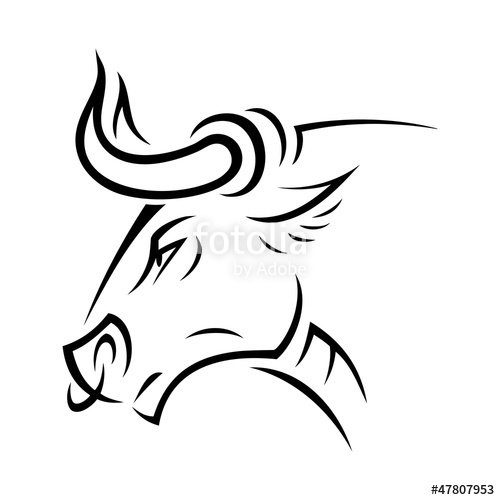 Detail Gambar Banteng Gambar Banteng Hitam Putih Nomer 43