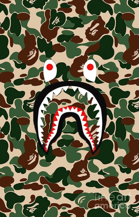 Detail Gambar Bape Shark Nomer 28