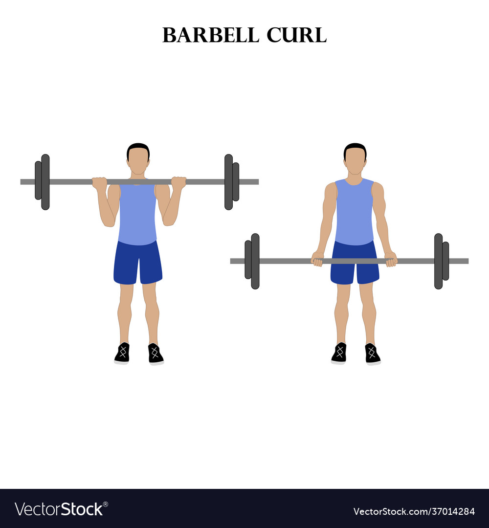 Detail Gambar Barbell Curl Nomer 29