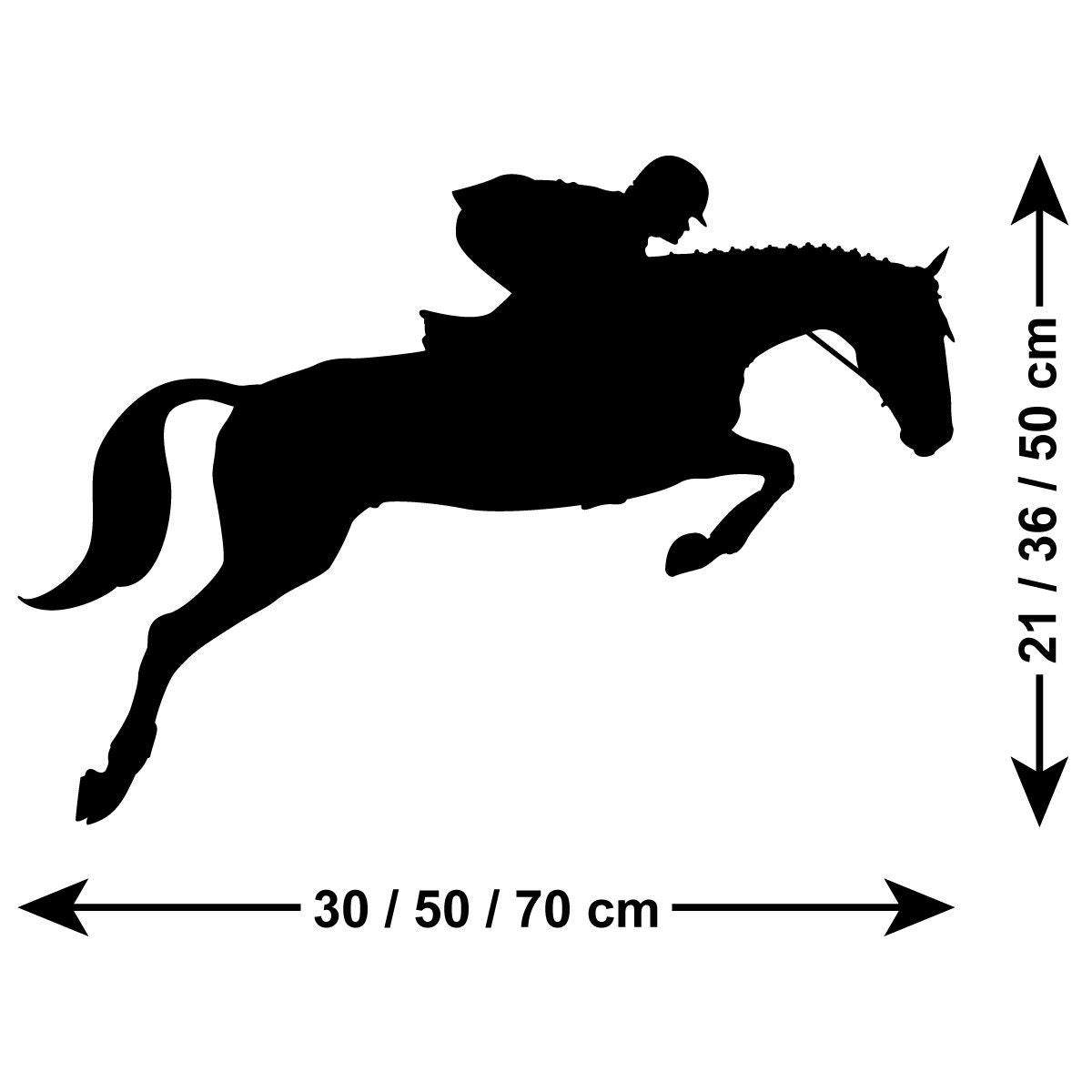 Detail Arabian Horse Jumping Nomer 9