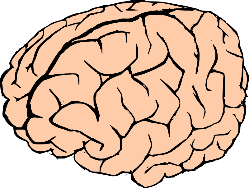 Detail Brain Emoji Png Nomer 24