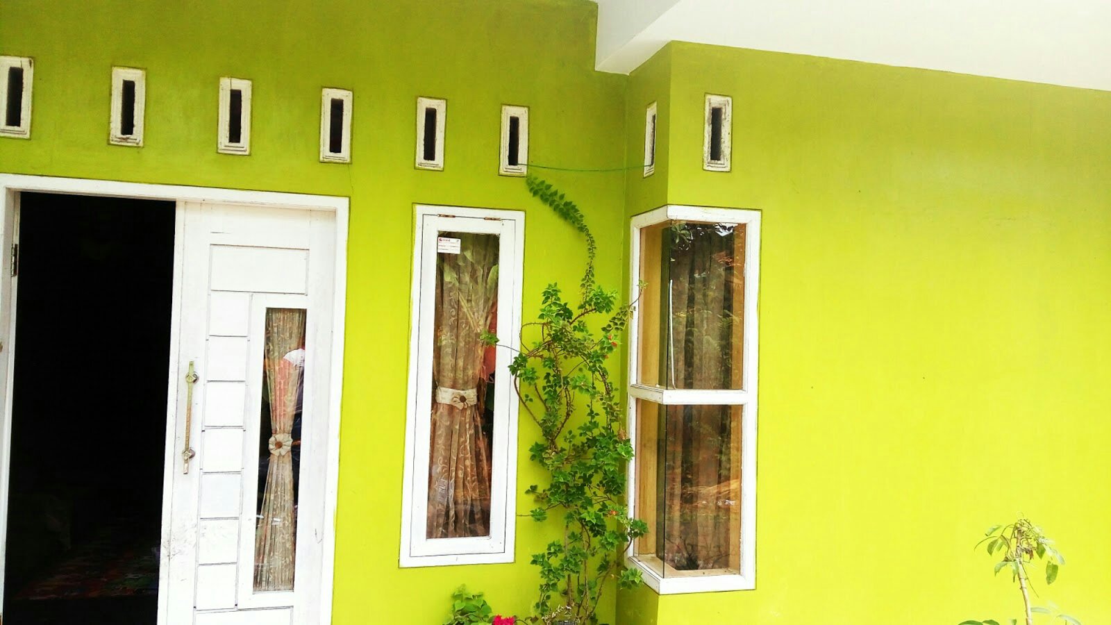 Detail Cat Rumah Warna Lemon Nomer 27