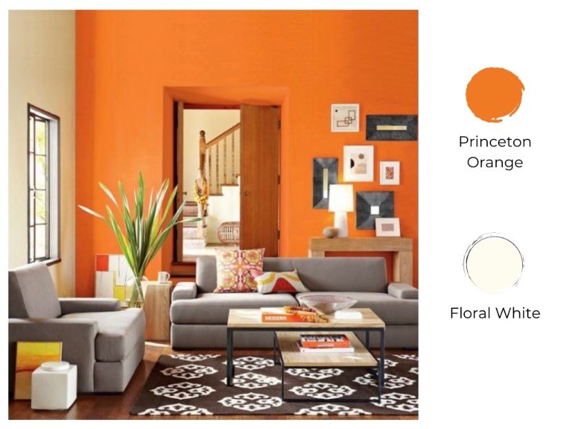 Detail Cat Rumah Warna Orange Nomer 34