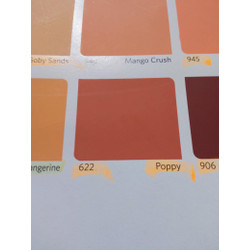 Detail Cat Rumah Warna Orange Tua Nomer 30