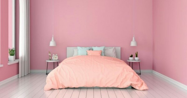 Detail Cat Rumah Warna Pink Soft Nomer 28