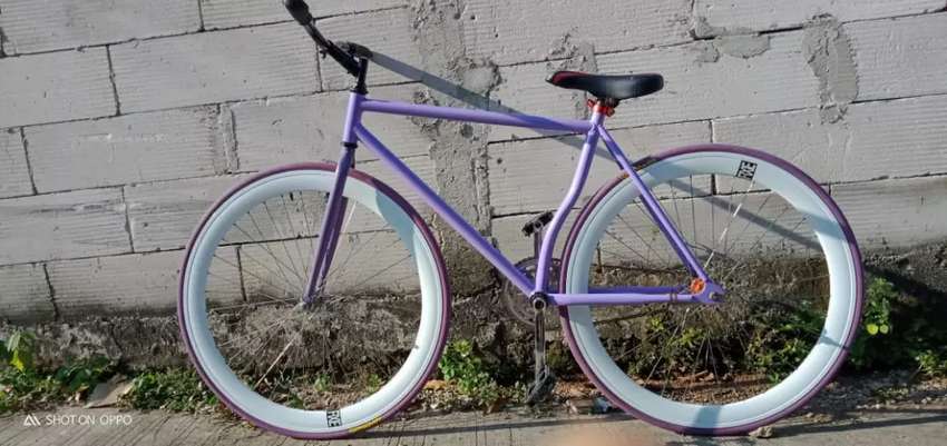 Detail Cat Sepeda Fixie Keren Nomer 41