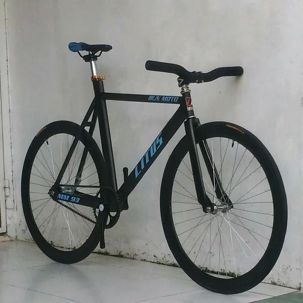 Detail Cat Sepeda Fixie Keren Nomer 47