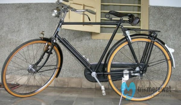 Detail Cat Sepeda Onthel Yang Bagus Nomer 13