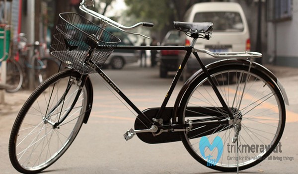 Detail Cat Sepeda Onthel Yang Bagus Nomer 25