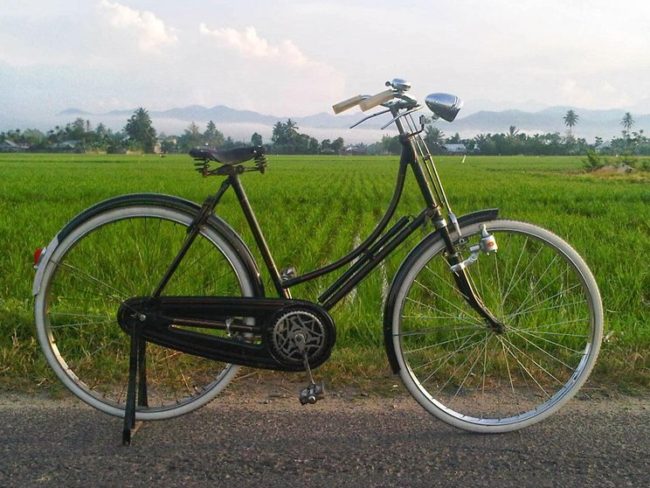 Detail Cat Sepeda Onthel Yang Bagus Nomer 42