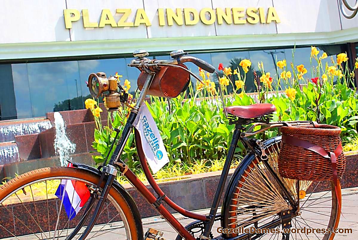 Detail Cat Sepeda Onthel Yang Bagus Nomer 45