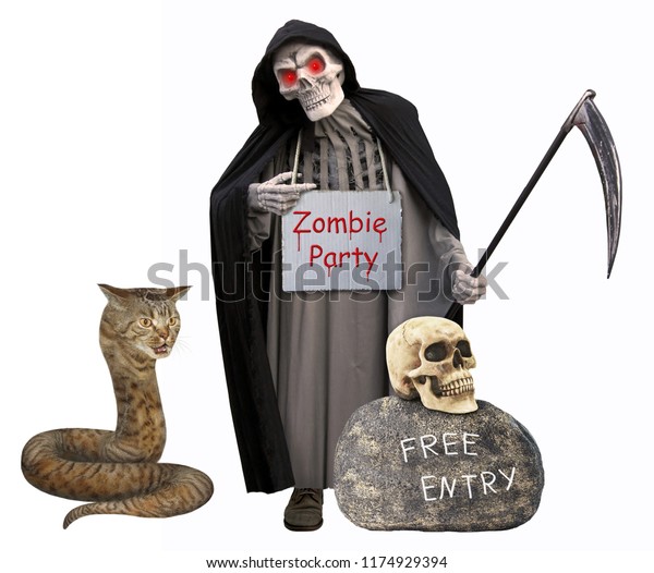 Cat Snake Next To Grim Reaper - KibrisPDR