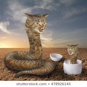 Detail Cat Snake Next To Grim Reaper Nomer 11