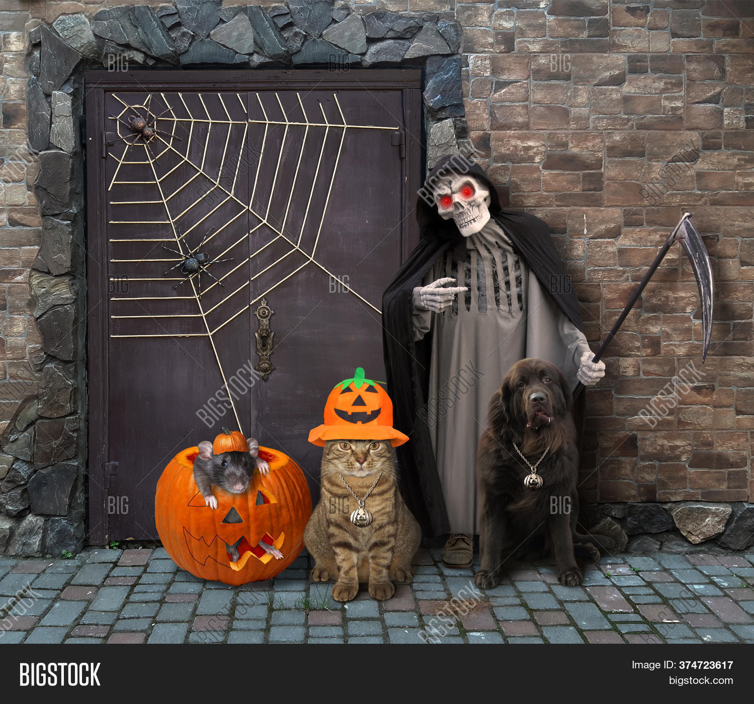 Detail Cat Snake Next To Grim Reaper Nomer 19
