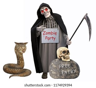 Detail Cat Snake Next To Grim Reaper Nomer 3