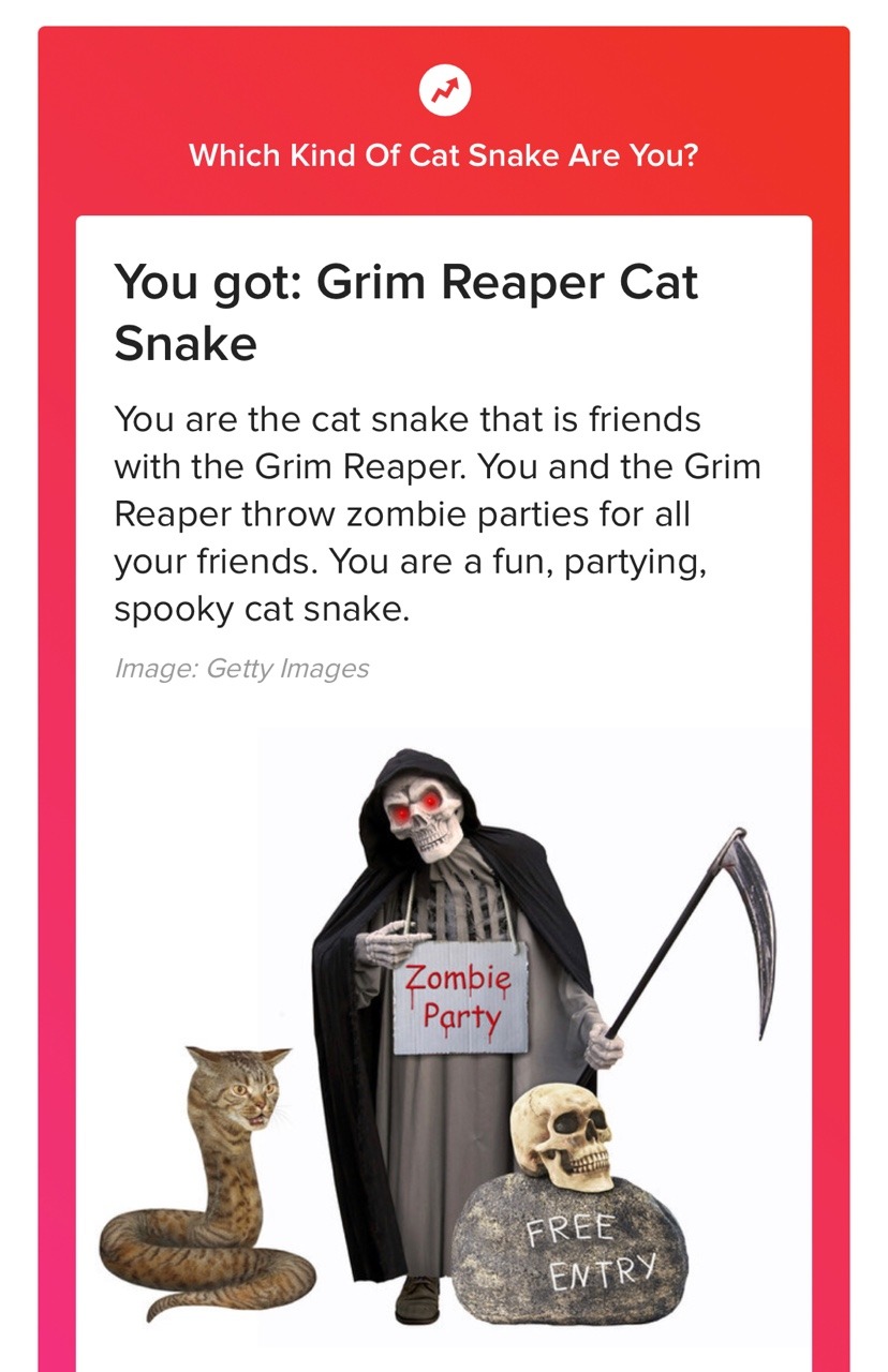 Detail Cat Snake Next To Grim Reaper Nomer 6
