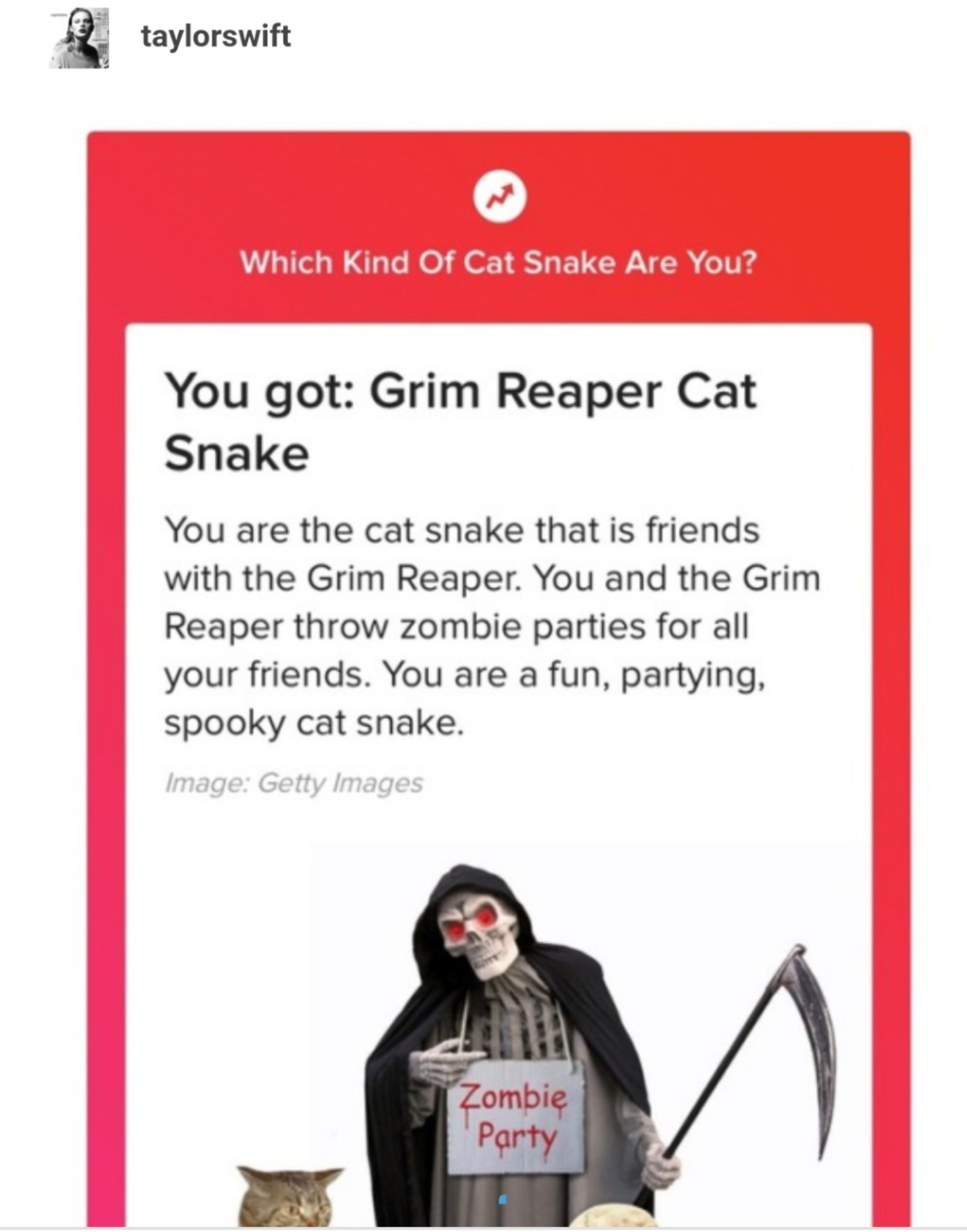 Detail Cat Snake Next To Grim Reaper Nomer 7