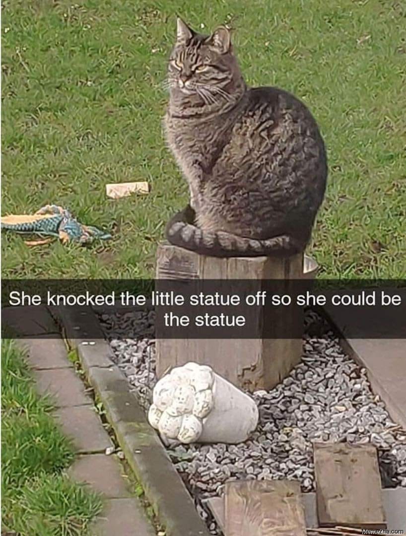 Detail Cat Statue Meme Nomer 14