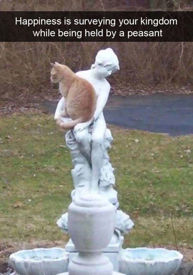 Detail Cat Statue Meme Nomer 21