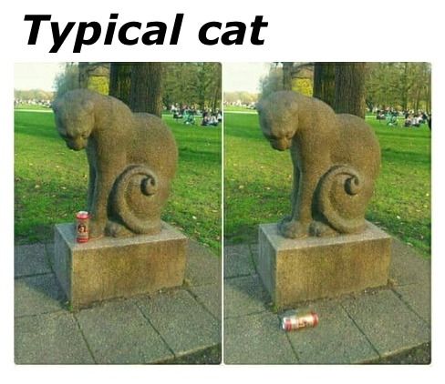 Detail Cat Statue Meme Nomer 9