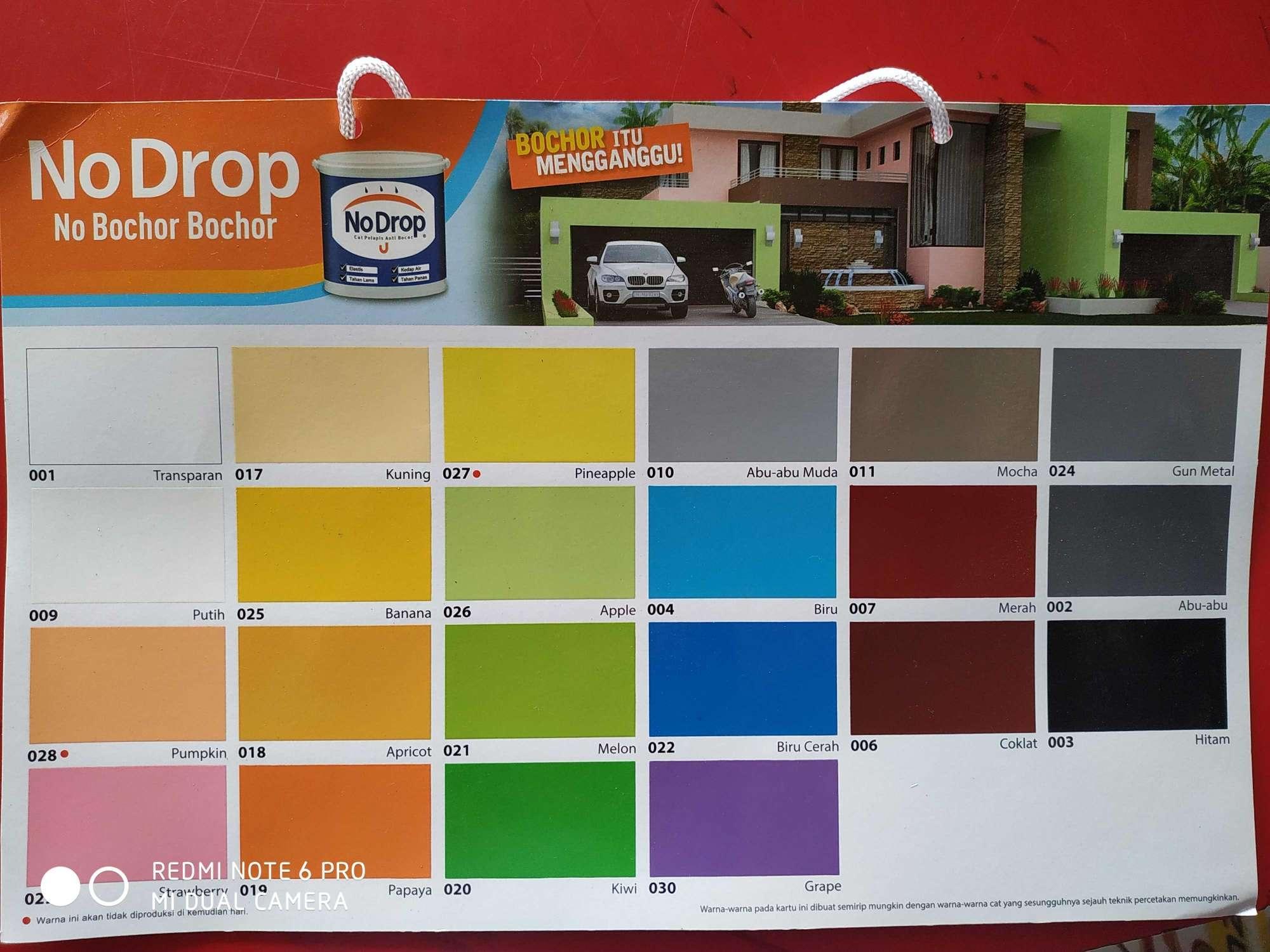 Detail Cat Tembok No Drop Warna Nomer 9