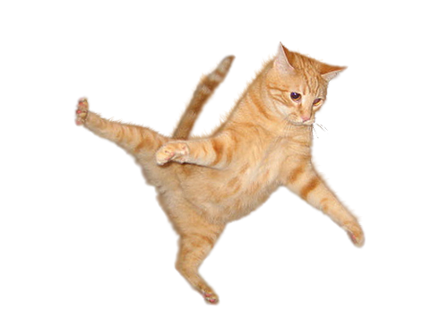 Detail Cat Transparent Image Nomer 45