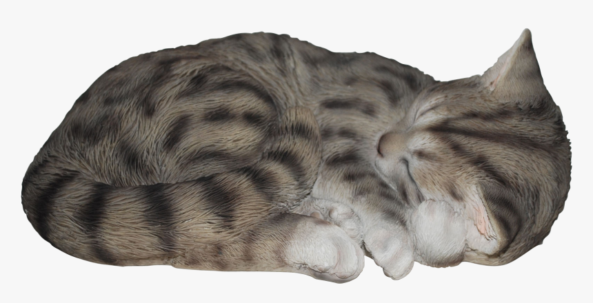 Detail Cat Transparent Image Nomer 52